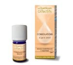 Consolations - Quantique olfactif ( anciennement Accompagnement)